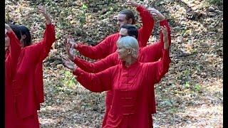 Qi Gong & Tai Ji Quan /  BVTQ - bewegungs-art / zert. Ausbilderin und Vorstand