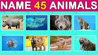 Ultimate Dangerous Animals Quiz Challenge for Kids