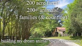 Tour Our 200 Acre Animal Sanctuary | 3 Homesteads!