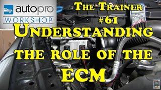 The Trainer #61 - DTC Diagnostics Pt1:  How The ECM Thinks