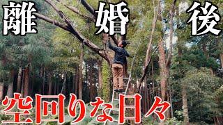 離婚後の暮らし お金がないのでその辺に生えてるキノコを食べる日々