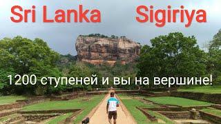 Sri Lanka. Sigiriya-Львиная скала. Восхождение, история. Третье место в двухдневной экскурсии.