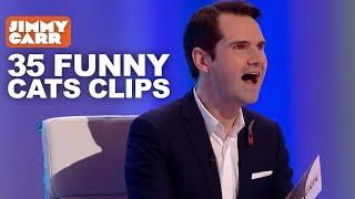 35 Funny 8 Out of 10 Cats Clips | 8 Out of 10 Cats | Jimmy Carr