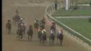 Sunday Silence - 1989 Kentucky Derby