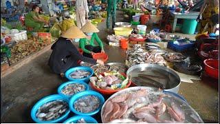 120 / Đi chợ quê ở Miền Tây có gì vui | Hòa Thuận Market