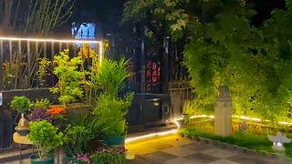 2024 Backyard Lighting Ideas | Outdoor Lighting | Landscape Lighting