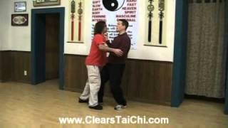 Combat Tai Chi Vol 4: White Crane Spread Wings