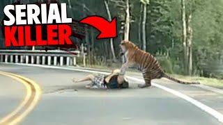 1 Hour of The WORST Animal Serial Killers of All Time 2!