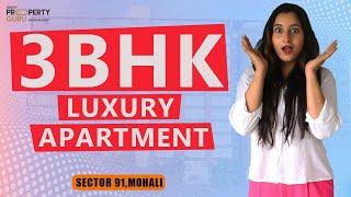 Regal Heights  (1800 Sq. Ft.) 3BHK Flats In Mohali Sector 91(GDPL)