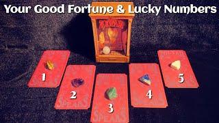 Good Fortune & Lucky Numbers! | Pick-A-Card