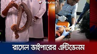 বিষধর সাপ রাসেল ভাইপারের কামড়ে আর নয় মৃত্যু! | Poisionous snake | Jamuna TV