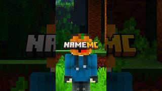 NameMC  #minecraft #bedrock #java #skin #texture #halloween #alecstry