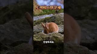 6월달 토끼띠 운세 #2025 #6월 #띠별운세 #운세 #토끼띠 #토끼띠운세 #사주