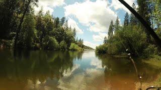 Fishing for Multiple Species of Trout in Lake Tabeaud | ITGETSREEL Episode 189