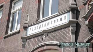 Amsterdam: Art & Culture with Champagne Valentine