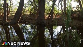 12-year-old girl killed by crocodile, Australian police say