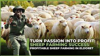 Millionaire Farmer Reveals Secrets: Profitable Sheep Farming in Eldoret | Pure Breed Dopper Guide