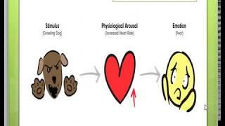 Emotions