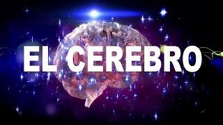 EL CEREBRO - un poder bajo llave (por Oleg Cherne)