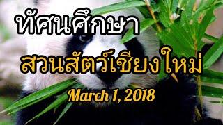 ทัศนศึกษาที่สวนสัตว์เชียงใหม่ l 1 มี.ค. 2562