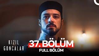 Kızıl Goncalar 37. Bölüm