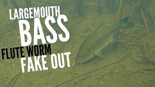 Largemouth Bass Flute Worm Fake Out #shorts