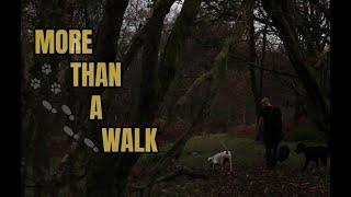 MORE THAN A WALK