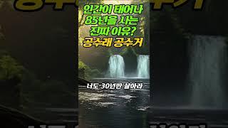 인간이 태어나 85년을 사는 진짜 이유ㅣ공수래 공수거 - 인생조언ㅣ삶의지혜 ㅣ인생명언#오디오북#조언#지혜#명언#인생#50대#60대#법정#법륜#40대#좋은글#행복#쇼츠#김창옥#인생