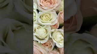Нежный букет из роз#букетневесты#кустоваяроза#белыецветы#бутоньерка#свадьба#цветы#flowers#weddingday