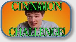 RT Life - Michael Does the Cinnamon Challenge