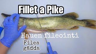 FILLET A PIKE || HAUEN FILEOINTI RUODOTTOMAKSI || FILEA GÄDDA || FISH FILLETING || FILEERAUS | FILEA