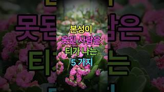 본성이 못된 사람은 티가 나는 5가지