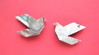 Schöne Origami VOGEL TAUBE Geldgeschenk GELD FALTEN | Money BIRD PIGEON | Tutorial by Euro Origami