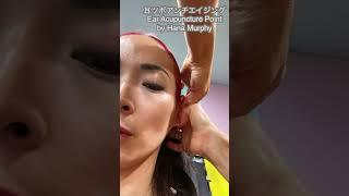 耳ツボアンチエイジング Ear Acupuncture Point