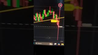 Sit quietly in your room, do trading, and print money#binomo #trading #makemoneyonline