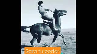 tulpor qashqadaryo 70