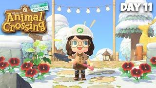 Making Island Changes! Terraforming + More HHP! | Animal Crossing: New Horizons