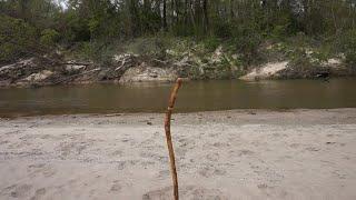 The Walking Stick - Useful Tool and Companion