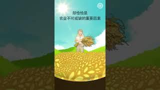 当你遇到困难时记住什么？ #Shorts