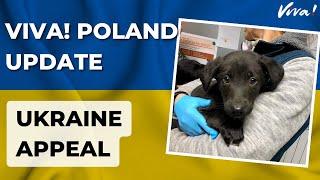 Viva! Poland Update | Ukraine Appeal