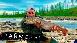 Рыбалка на ТАЙМЕНЯ! Охота на ЛУЧШИХ Трофеев СЕВЕРНЫХ рек Красноярского края!