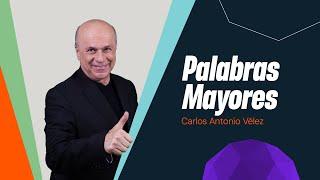 Palabras Mayores con Carlos Antonio Vélez hablando de la derrota de Colombia contra Ecuador