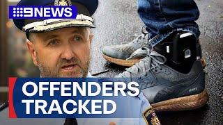 Ankle monitors begin for some charged with DV | 9 News Australia