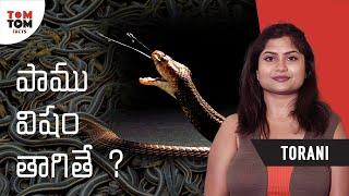 If Human Drinks Snake Venom | Torani | TomTom Facts