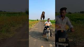 Dinosaur and magic funny VFX short #vfx #dinosaur VFX editing #funny shorts #viral shorts #trending