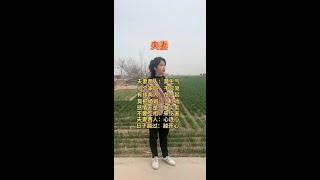 这样的女人你们喜欢吗？#亲情 #社会问题 #农村 #日常生活#剧情