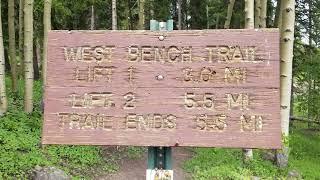 Hiking the Grand Mesa West Bench Trail!
