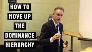 How to Move up the Dominance Hierarchy | Jordan Peterson