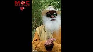 What is gurus grace | Sadhguru talks on guru's grace | Sadhguru short video | words of wisdom