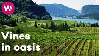 Canada - Wines from a natural treasure valley | Worldwide Wine Civilizations